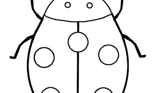 570x320 Drawing Of Animals