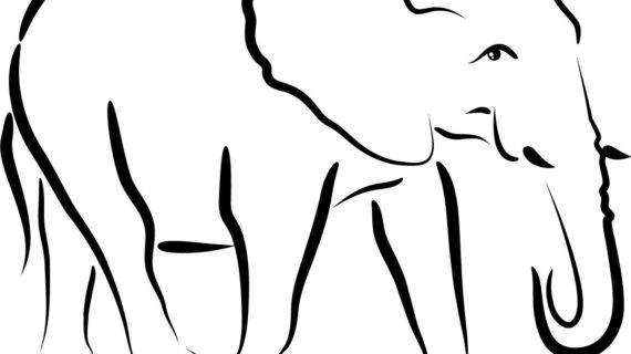 570x320 Out Line Drawing Animals Outline Animals Cute With Images