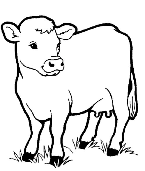 498x586 Farm Animals Clipart Line Drawing