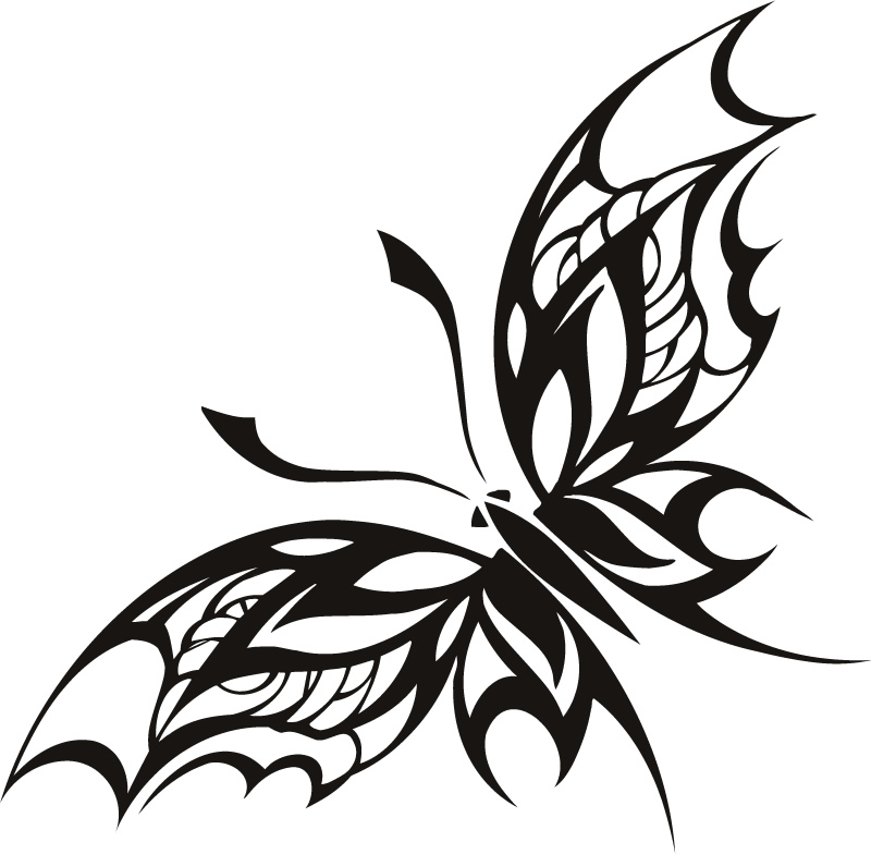 800x784 Line Art Animals