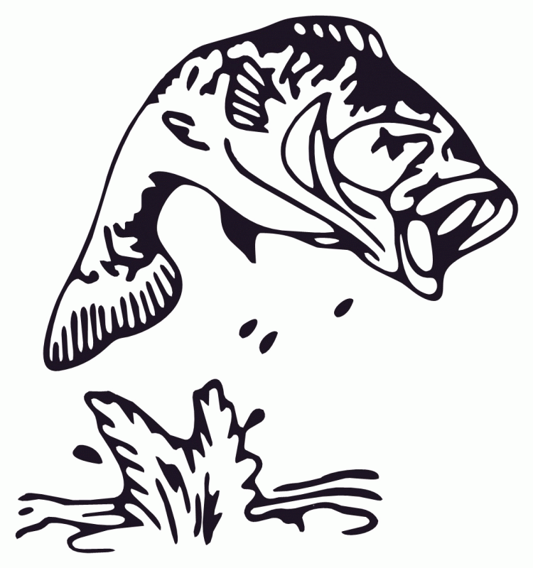 750x800 Line Drawings Of Fish 415098