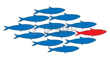 450x245 Top 82 School Of Fish Clip Art