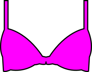 300x234 Bra1 Clip Art