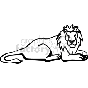 300x300 Royalty Free Black And White Male Lion Lying On His Belly 131038