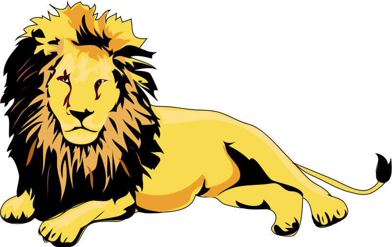 800x505 Lion Clipart For Kids Free Clipart Images 4