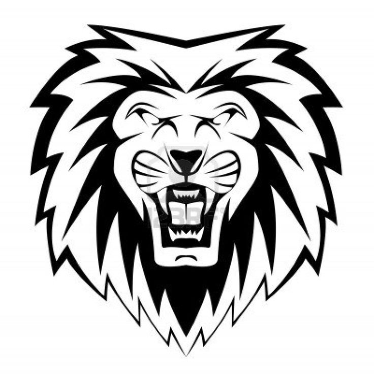 736x736 Lion Head Clipart For Kids Black And White