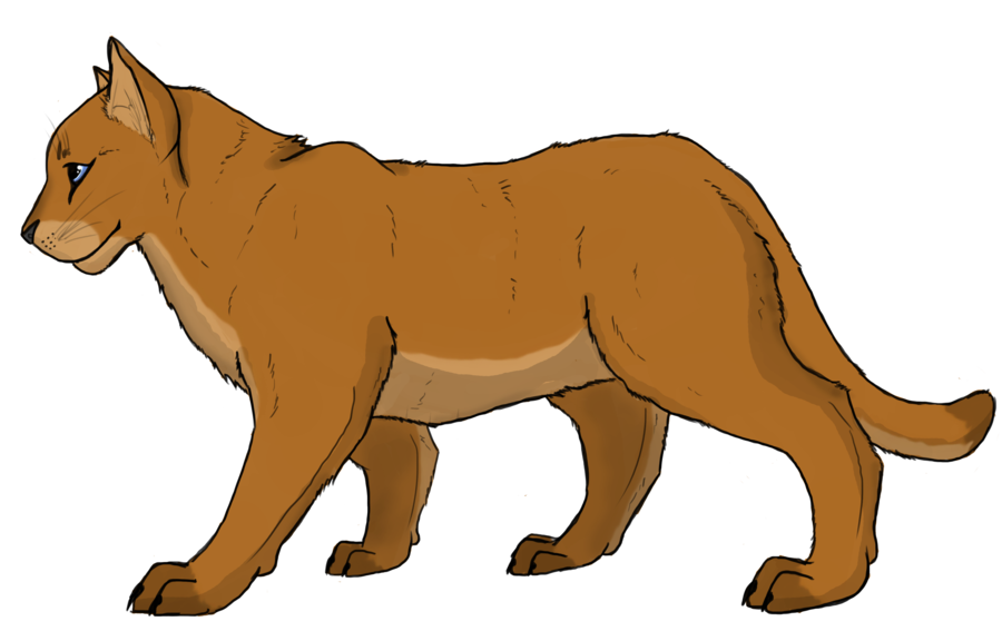 900x576 Mountain Lion Clipart
