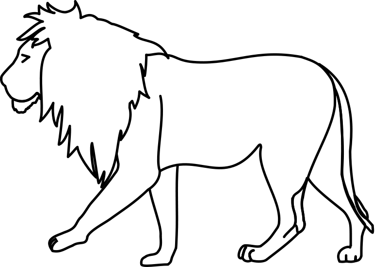800x552 Best Photos Of Lion Outline Drawing