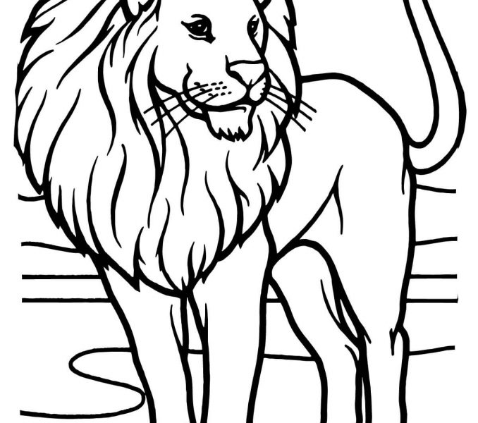 678x600 Lion Coloring Page Best Coloring Pages