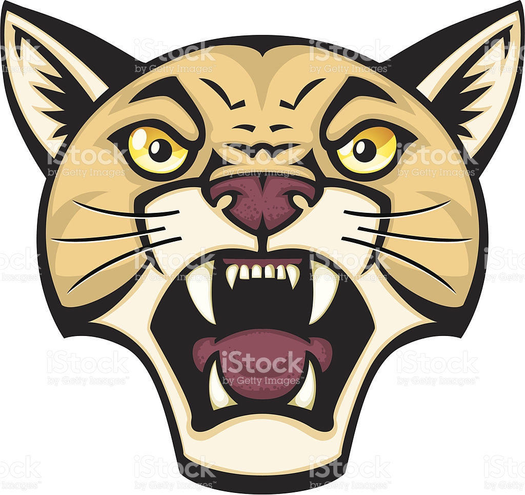 1024x965 Mountain Lion Clipart Mascot