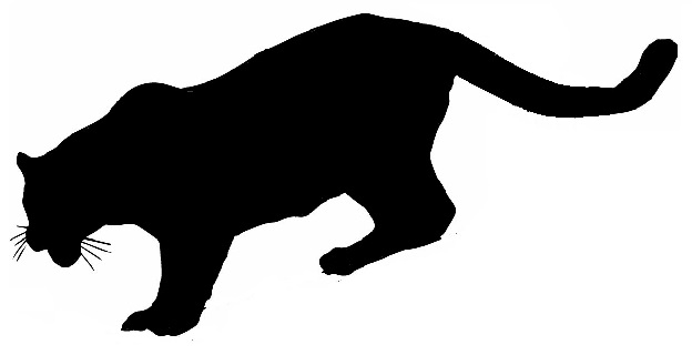 624x320 Mountain Lion Clipart