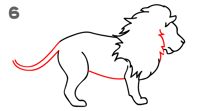 642x362 How To Draw A Lion