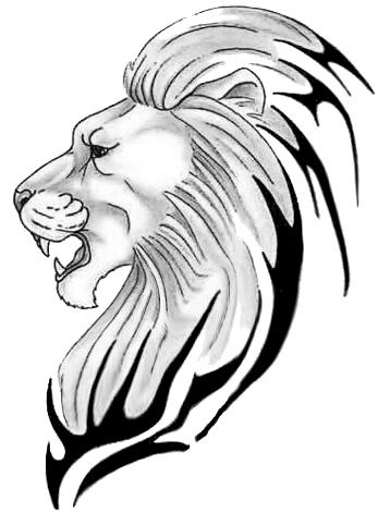 347x471 8 Best Lion Tattoo Images Drawings, Searching