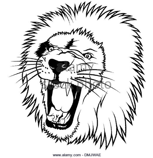 Lion Head Drawing | Free download on ClipArtMag