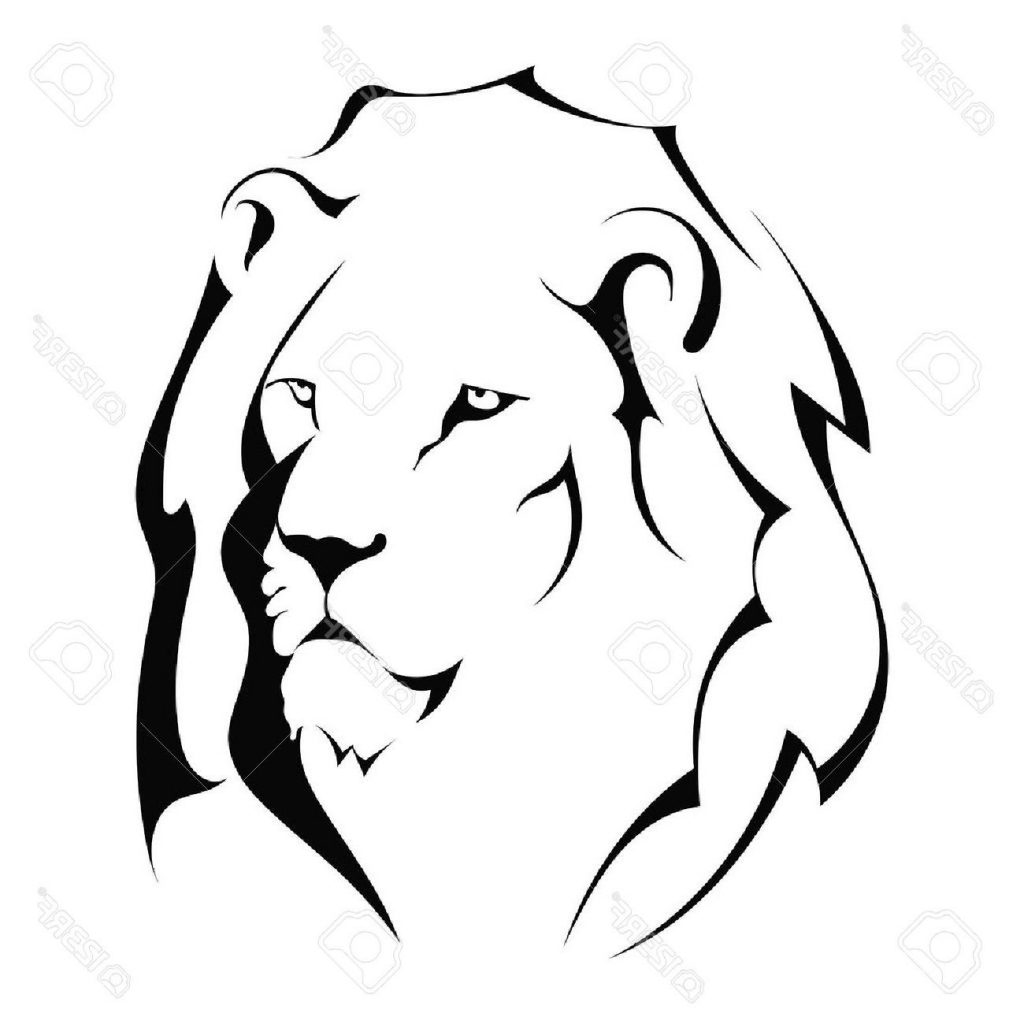 1024x1024 Best Lion Head On White Background Stock Vector File Free