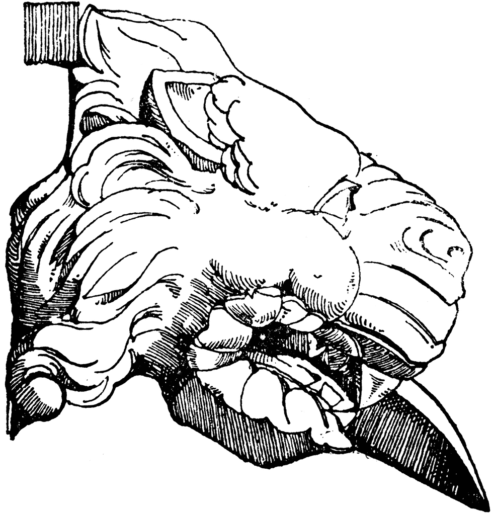 982x1024 Gargoyle Lion Head Clipart Etc
