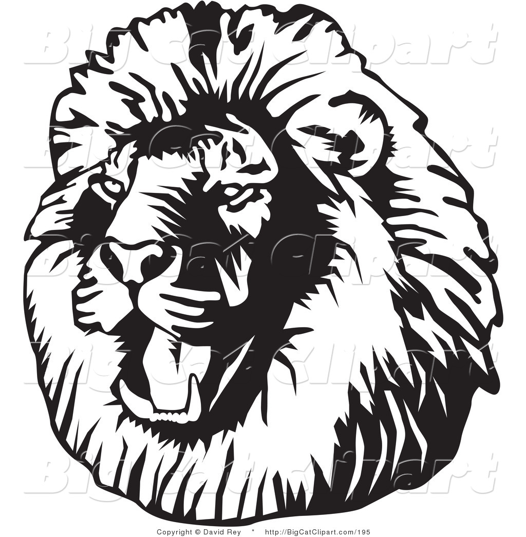 1024x1044 Lion Head Facing To The Right Clipart Panda