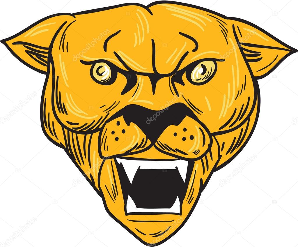 1024x848 Angry Cougar Mountain Lion Head Drawing Stock Vector