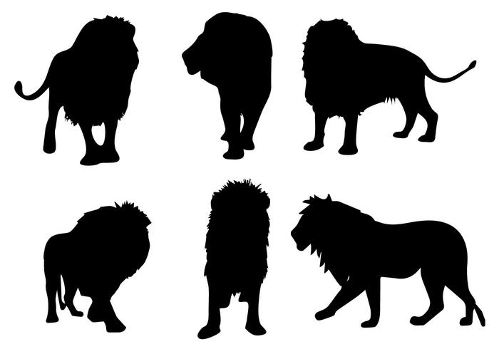 700x490 Lion Free Vector Art
