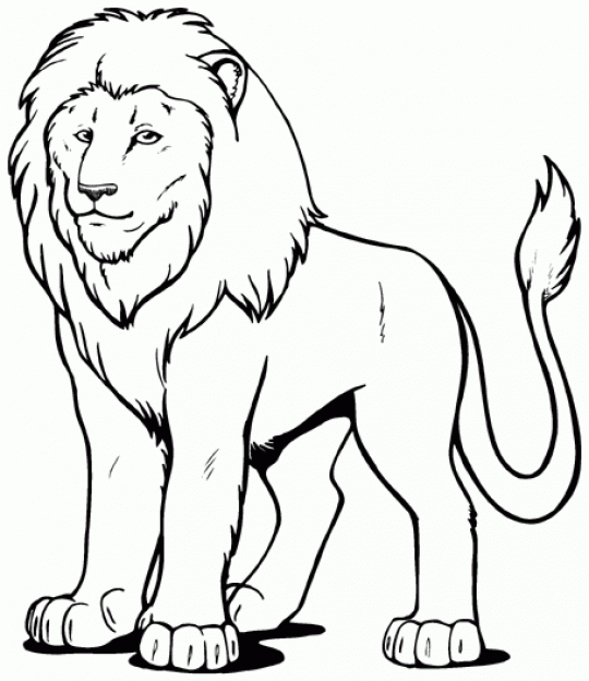 Lion Images Black And White | Free download on ClipArtMag