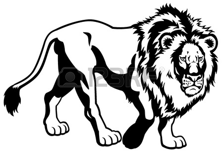 450x310 Lion Black And White Illustration Royalty Free Cliparts, Vectors