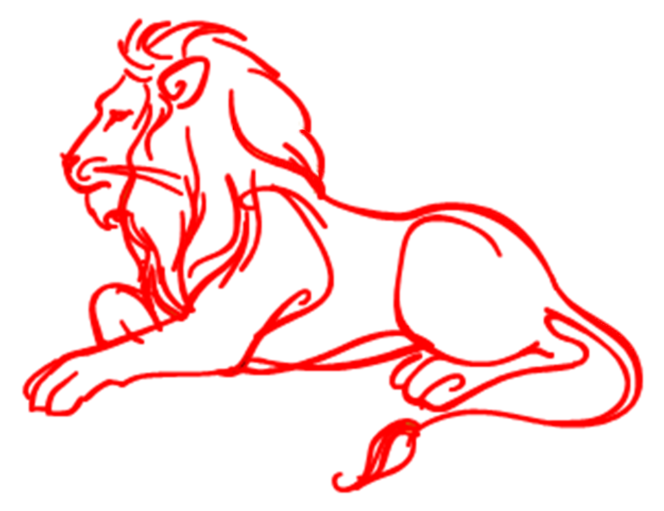 967x744 Drawn Lion Lion Line
