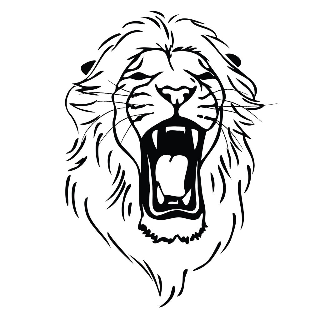 1024x1024 Best 15 Drawn Lion Angry Images