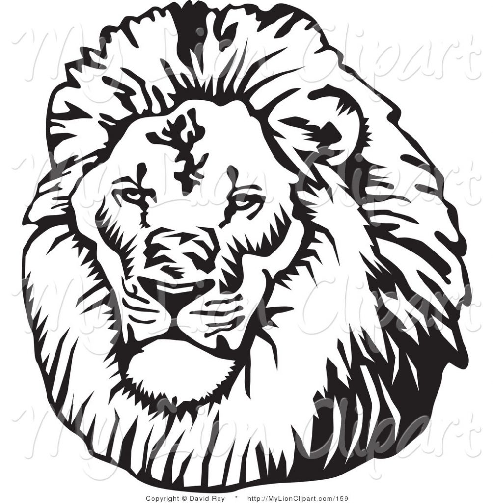 1004x1024 White Lion Clipart Graphics