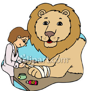 294x300 Female Veterinarian Bandaging A Lion's Paw