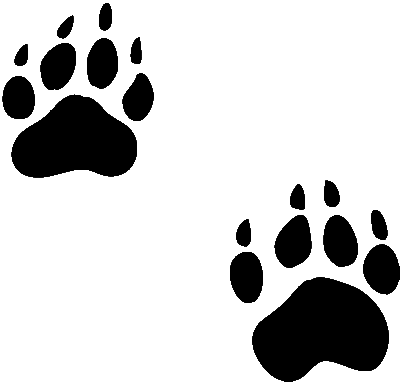 400x382 Grizzly Bear Paw Print Clipart Free Images 5