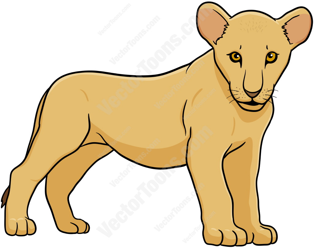 1024x811 Lion Cub Standing Lion Cub