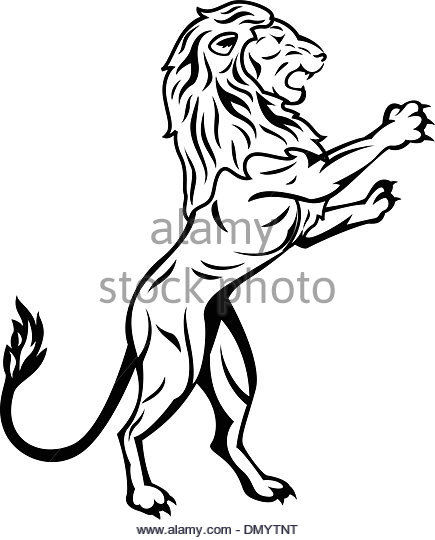 435x540 Lion Roaring Black And White Stock Photos Amp Images