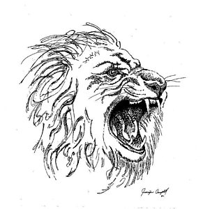 291x300 Male Lion Drawings