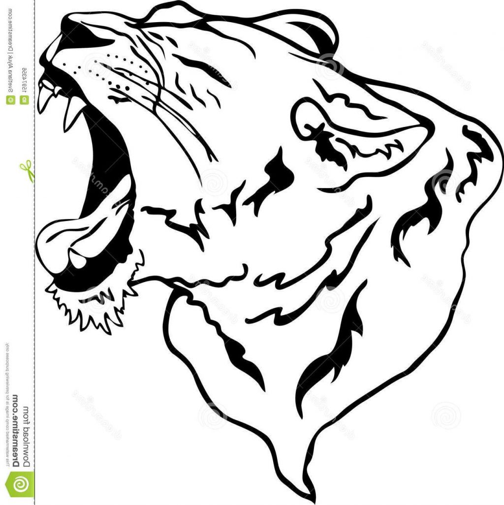1024x1026 Hd Vector Lion Roaring Images