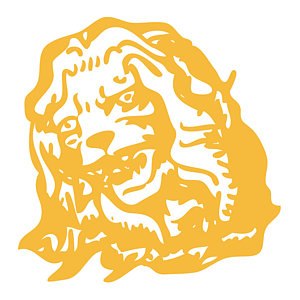 300x300 Lion Roar Drawings Fine Art America