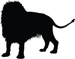 252x199 Lion Silhouette Silhouette Of Lion