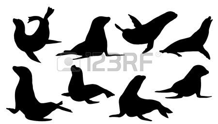 450x257 2,357 Sea Lion Cliparts, Stock Vector And Royalty Free Sea Lion