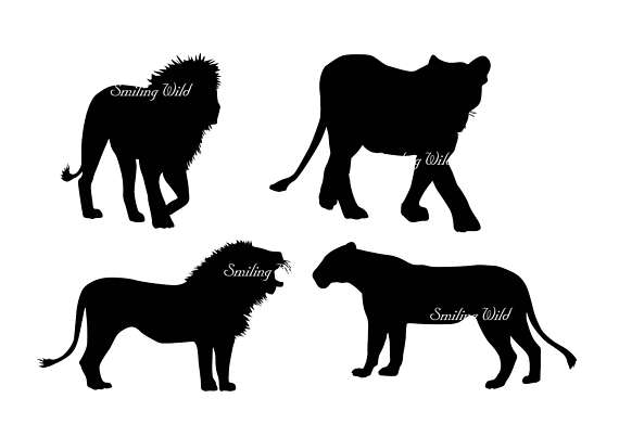 570x403 Lion Silhouette Clipart Family Svg Savannah Lion Cub Art Svg