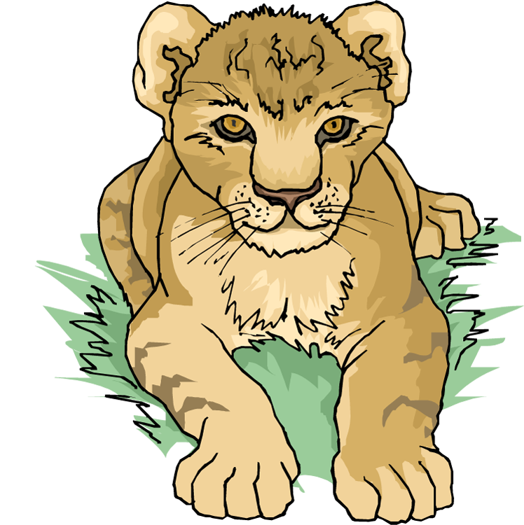 748x750 Lion Clipart Lion Cub