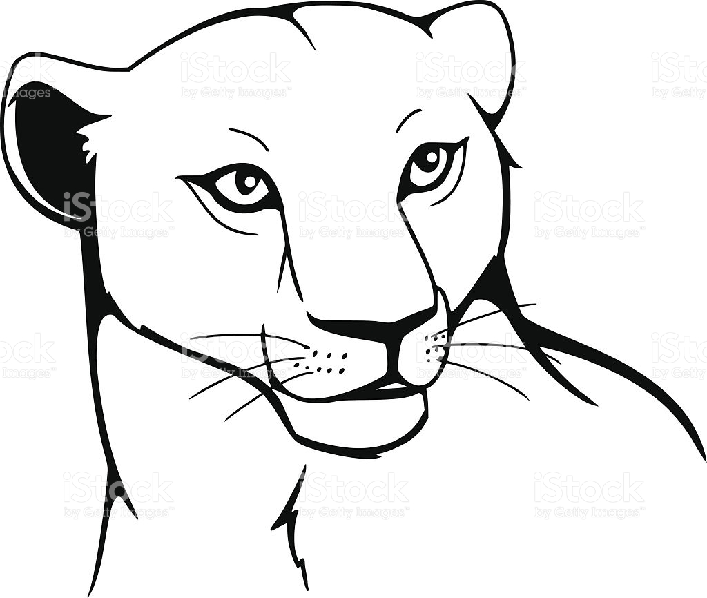 1024x866 Lioness Clipart Cliparts