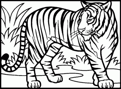 410x300 Coloring Pages Luxury Tiger Coloring Sheet Lisa Frank Pages 3