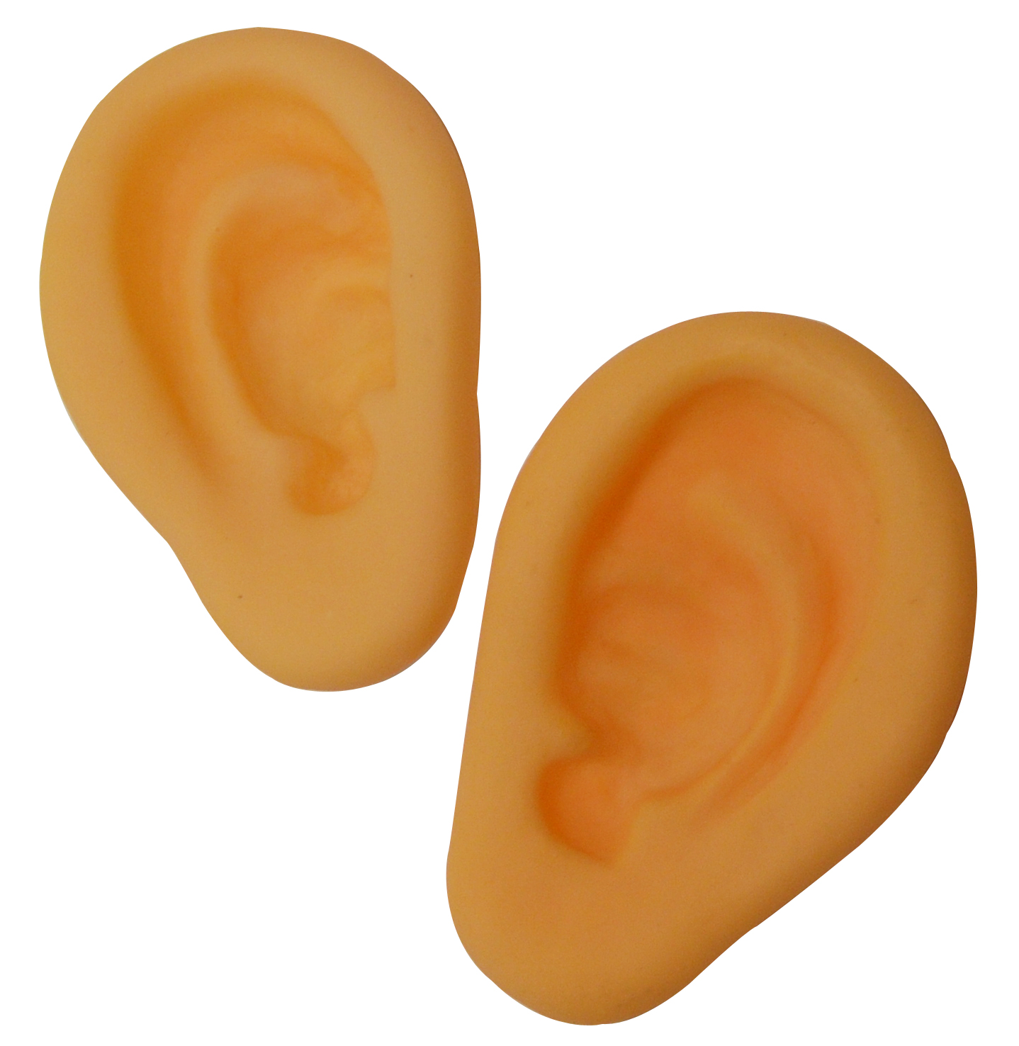 1438x1476 Listening Ear Clipart 2