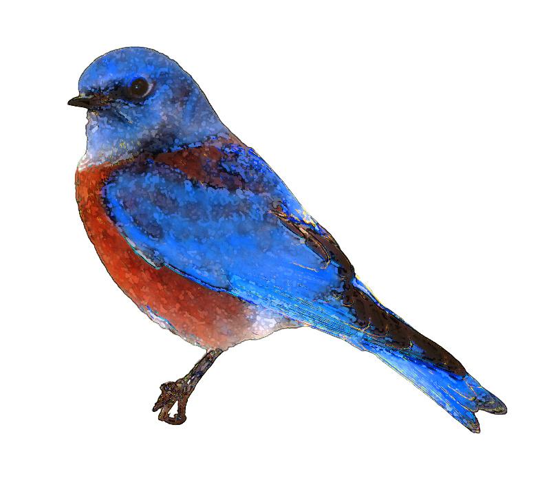 782x698 Little Blue Bird Clipart