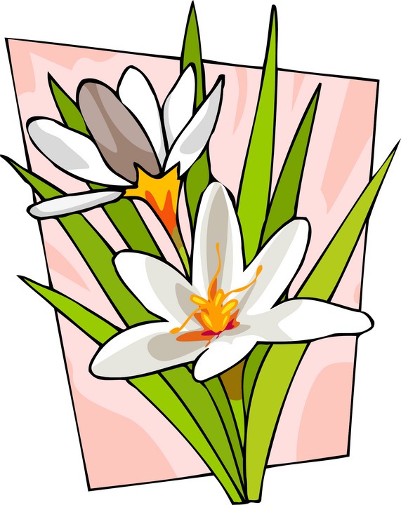 571x720 Stem Clipart Little Flower