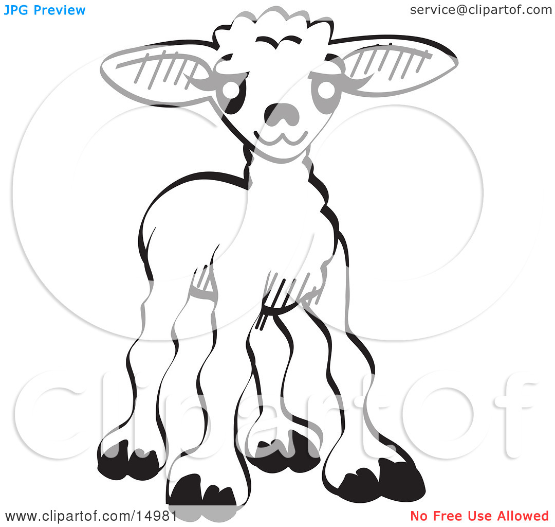 1080x1024 Little Lamb Clipart