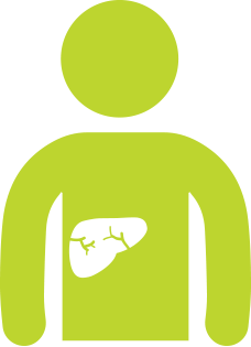 228x315 Hep C Liver Clip Art Cliparts