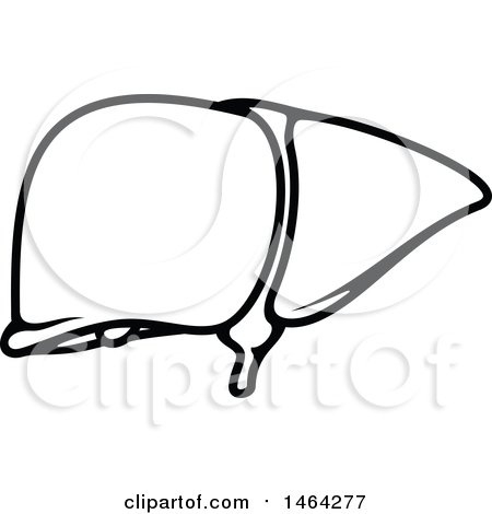 450x470 Liver Clipart Black And White Letters Example