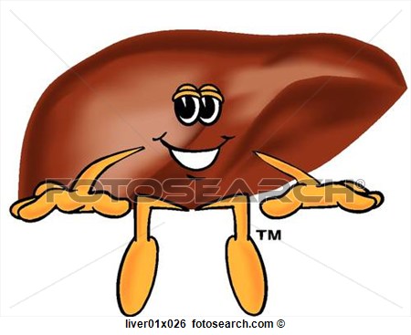 450x367 Liver Clip Art Clipart Panda