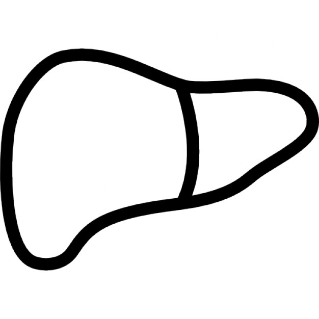 626x626 Liver Icons Free Download