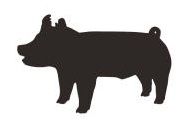 179x123 Livestock Show Pig Clip Art Thewealthbuilding